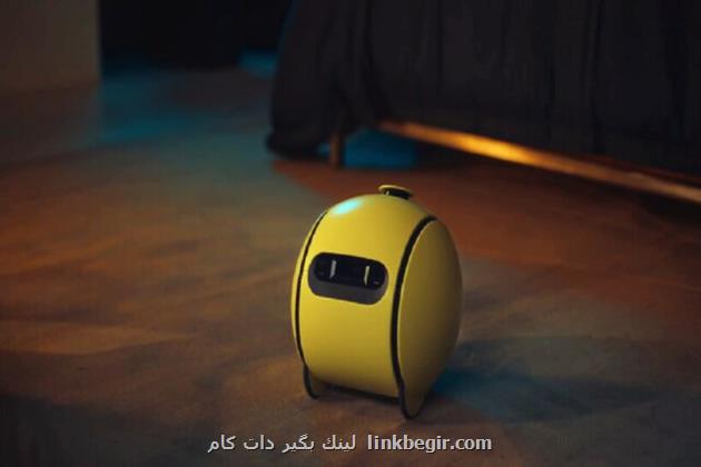 همکاری سامسونگ و گوگل برای ورود بالی به حریم خصوصی