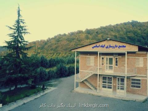 عصاره گیاهی چیست عصاره گیاهی چیست