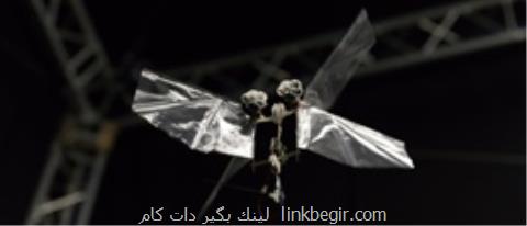 حشره رباتیك هلندی ها، عكس حشره رباتیك هلندی ها، عكس
