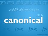 تگ canonical چیست؟