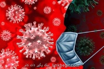 همكاری ال جی و شركت مخابرات كره برای كاهش شیوع ویروس كرونا همكاری ال جی و شركت مخابرات كره برای كاهش شیوع ویروس كرونا